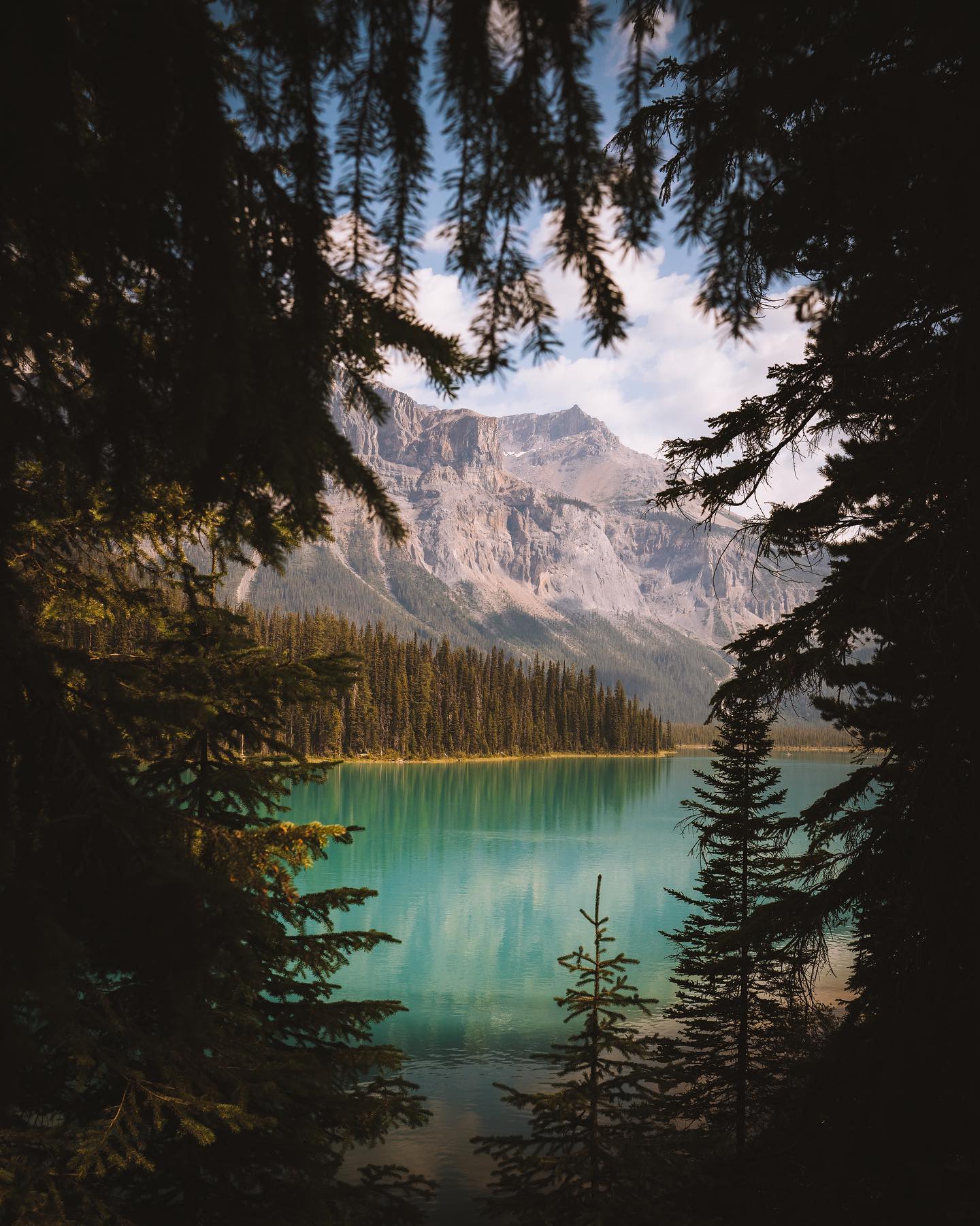 photo by tiffanykehler caption reads: One of the most beautiful spots in the Canadian Rockies

#canadianrockies #mountains #alpinelake #yoho #parkscanada #yohonationalpark #explorecanada #beautifulbritishcolumbia #britishcolumbiacanada #britishcolumbia