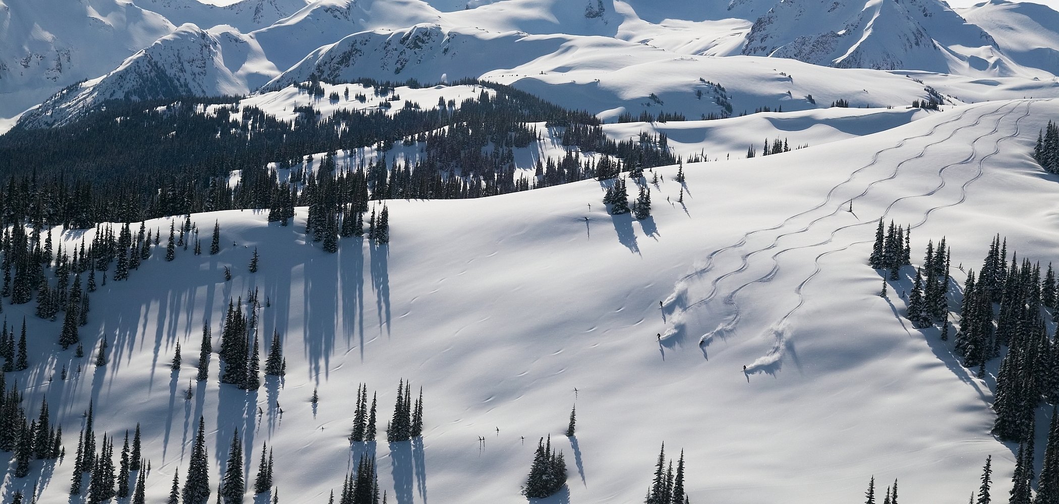 Aerial view of a group of skiers in the Piccolo Flute at Whistler Blackcomb Ski Resort.