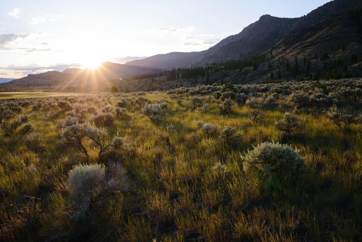 Sun setting behind distant mountains over an expansive grassland.