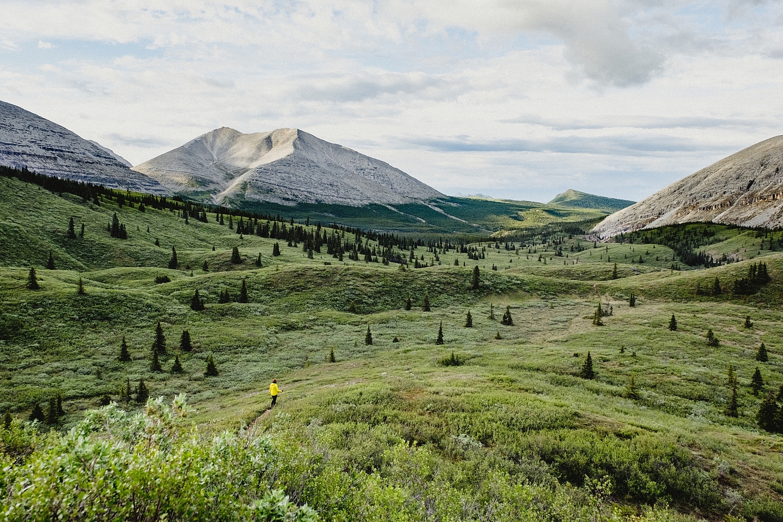 A hiker in the distance walks along a trail surrounded by lush alpine meadows and mountains.