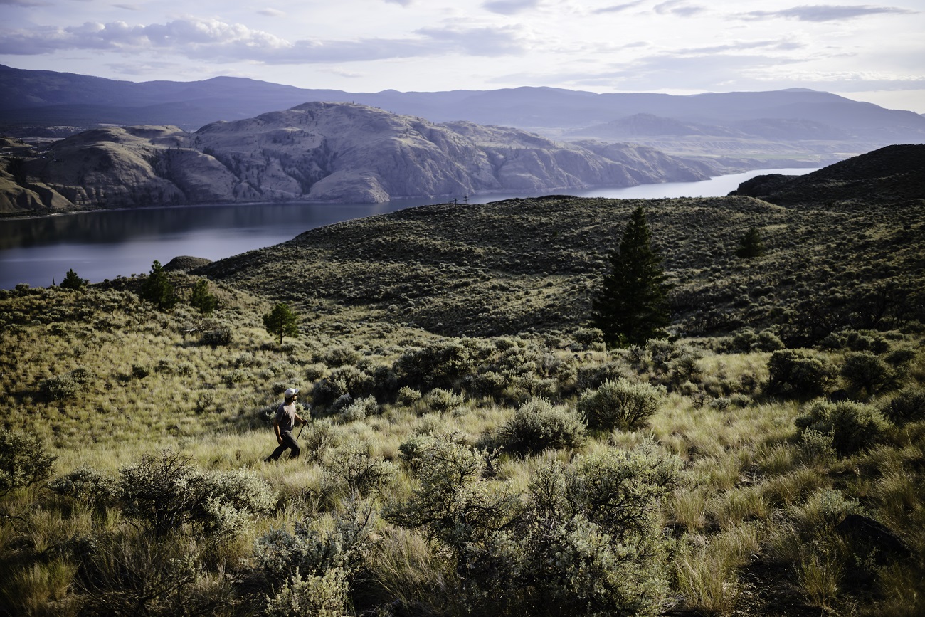 An aerial view of a figure walking through dramatic sagebrush bluffs cut by Kamloops Lake.