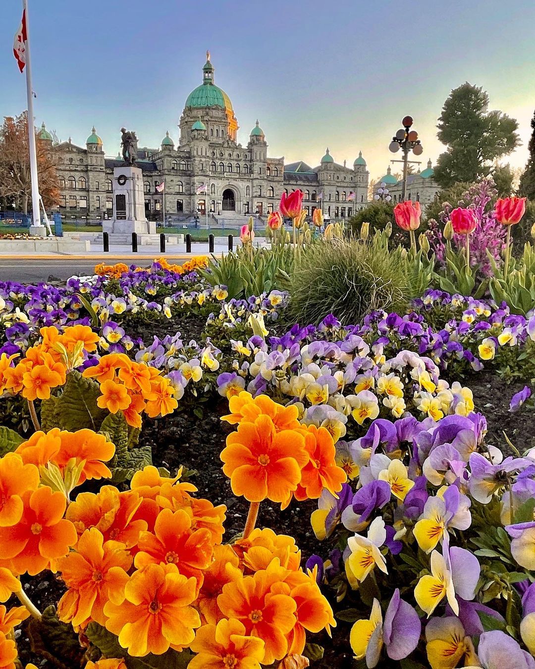 photo by Doug Clement caption reads: Spring time in Victoria 

#explorecanada #imagesofcanada  #pnwonderland #paradisecanada #tourcanada #sharethecoast #destinationbc #bcisbeautiful #connectwithvictoria #ldphotolab #enjoycanada #capitaldaily #canadaday #canoncanada @canada  #victoriabuzz #victoriahype #bcisbeautiful #insidecanada @livelovecanada #cascadiaexplored #pnwescapes  #clippervacations #explorevictoria #explorebc #globalbc  #raw_canada  #raw_flowers #parliamentbuildings  #beautifulbritishcolumbia