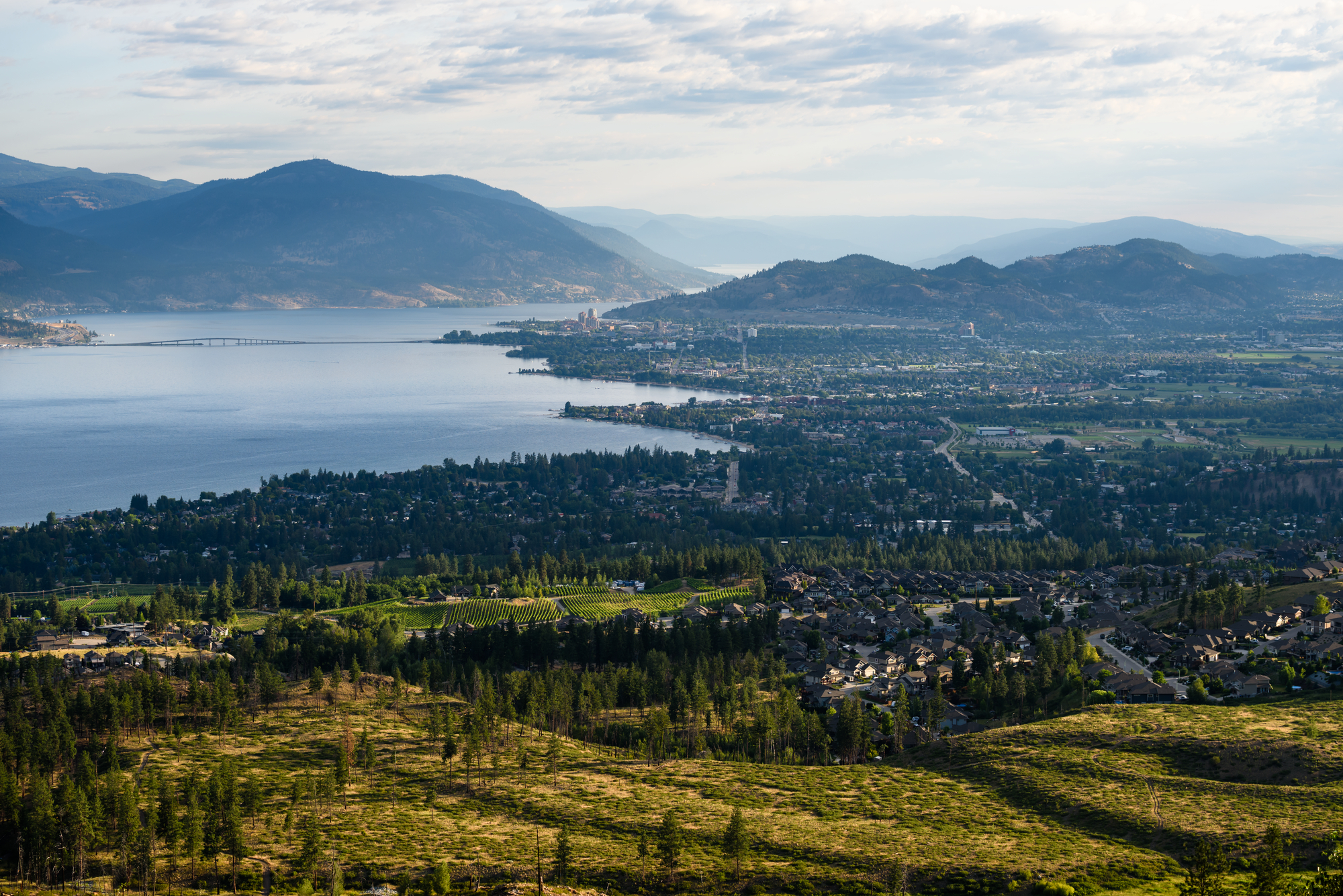 Kelowna | Andrew Strain