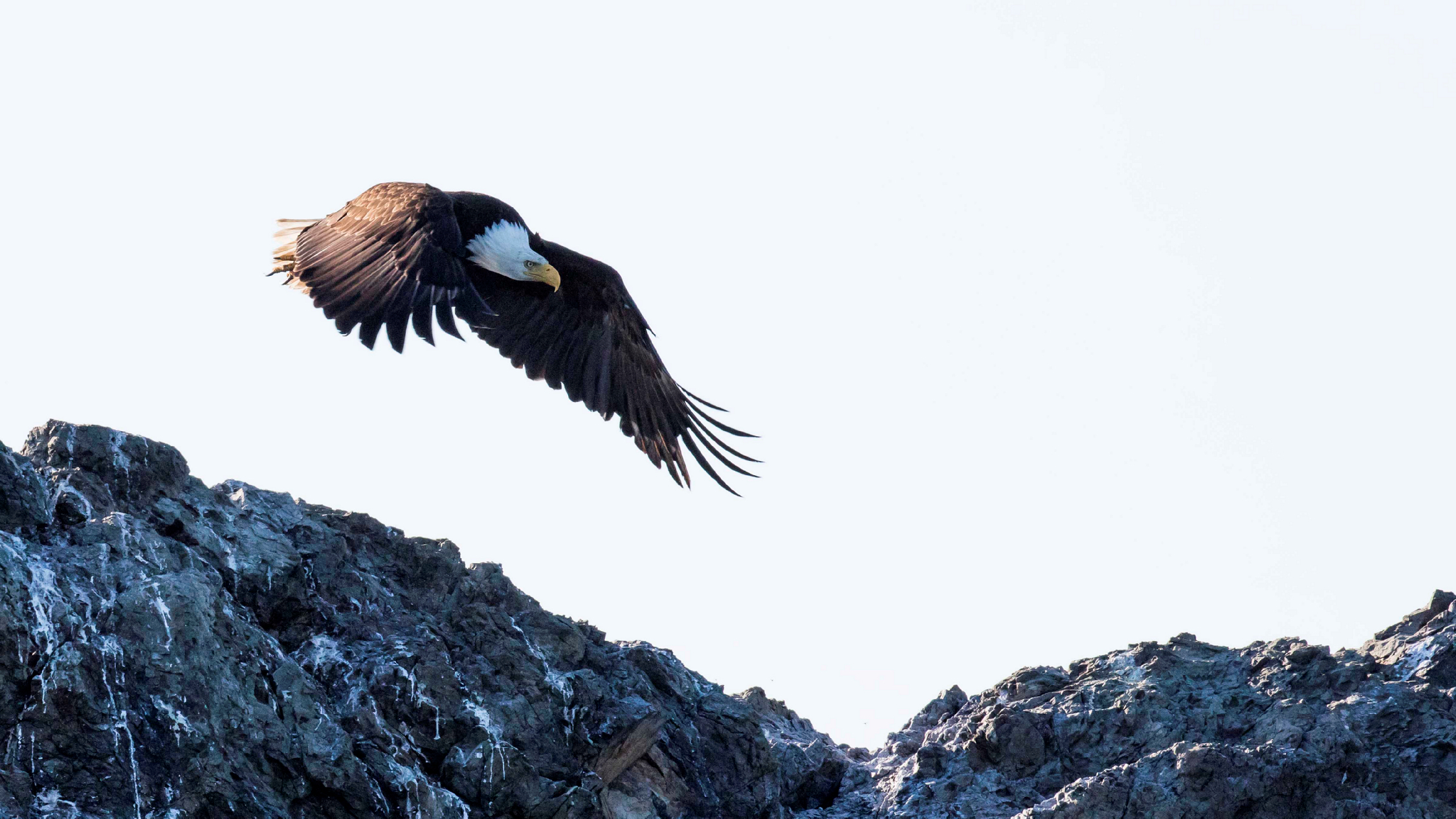 Vancouver Island BC Canada